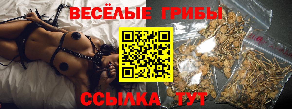 Псилоцибиновые грибы прущие грибы  Вход с VPN  Котлас 